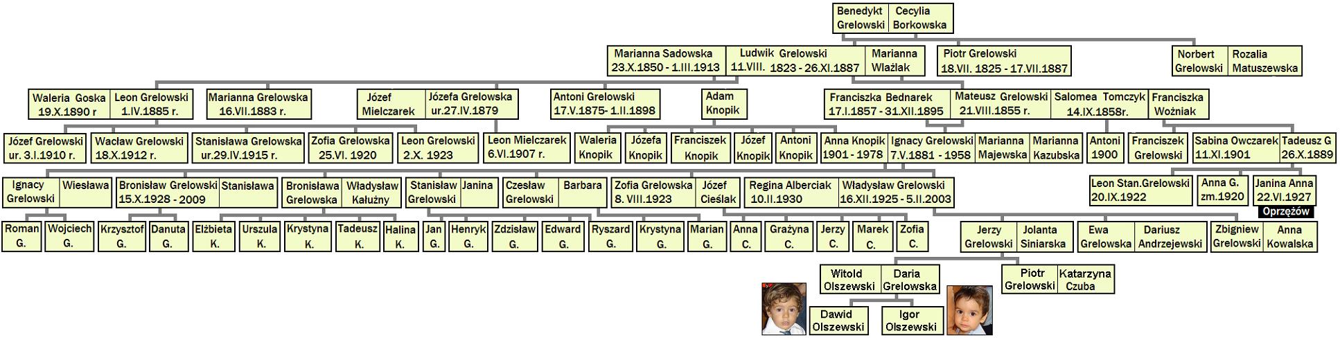 drzewo rodzinne Benedykta Grelowskiego - #1