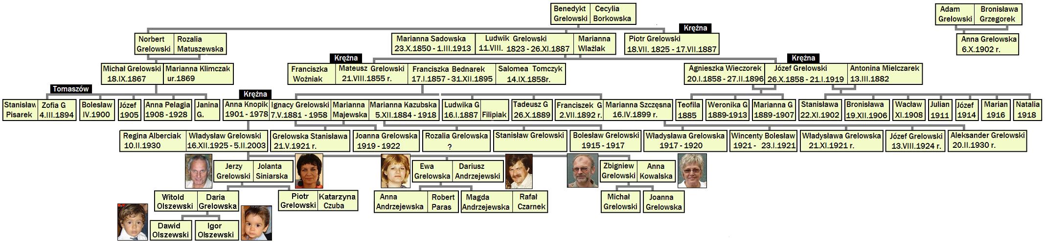 drzewo rodzinne Benedykta Grelowskiego - #2